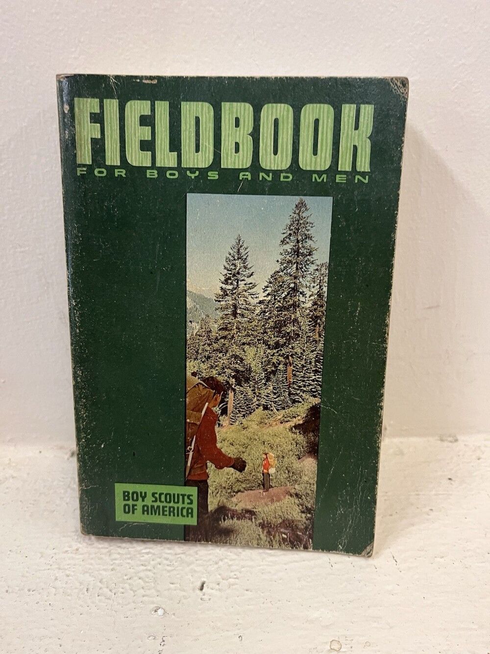 Fieldbook For Boys And Men 1969 Printing BSA Vintage Boy Scouts Of America VG